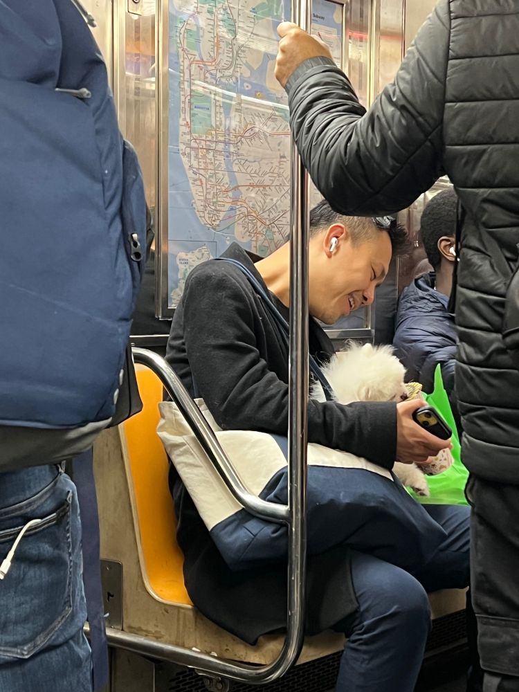 A man sits on a crowded subway car with a fluffy white dog in his lap. The dog is in a tote bag and is drinking from a paper cup.