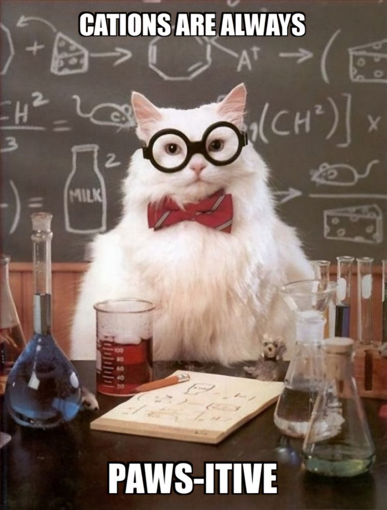 A white cat with black-rimmed glasses, wearing a red bow tie with light stripes, is standing in behind a table with lab equipment on it. There's a volumetric flask, a beaker, and two Erlenmeyer flasks, all filled with differently colored liquids. There's a stack of paper, with pencil sketches on it, in front of the cat, and a yellow pencil. There are two little plush toy animals on the table, one ooks like a (lab) rat.

Behind the cat is a blackboard with chalk drawings that look like they're depicting scientific formulas. On a second glance, one can identify milk, cheese, and mice interspersed in the formulas.

The meme text reads, "cations are always paws-itive"