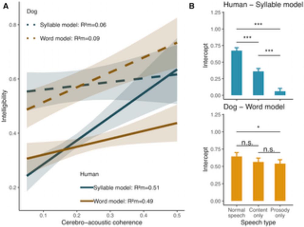 Dog–human vocal interactions match dogs’ sensory-motor tuning