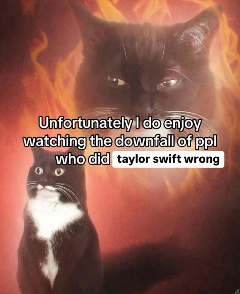 Two cats are pictured; one is large with a fiery, intense background, and the other smaller and calm. Text reads: Unfortunately I do enjoy watching the downfall of ppl who did taylor swift wrong.