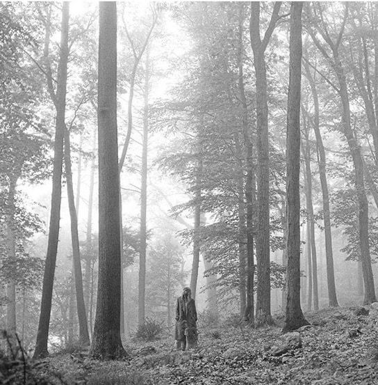Taylor Swift for her Folklore album cover stands alone among tall trees in a foggy forest, surrounded by scattered rocks and dense foliage, with sunlight diffused through the mist.