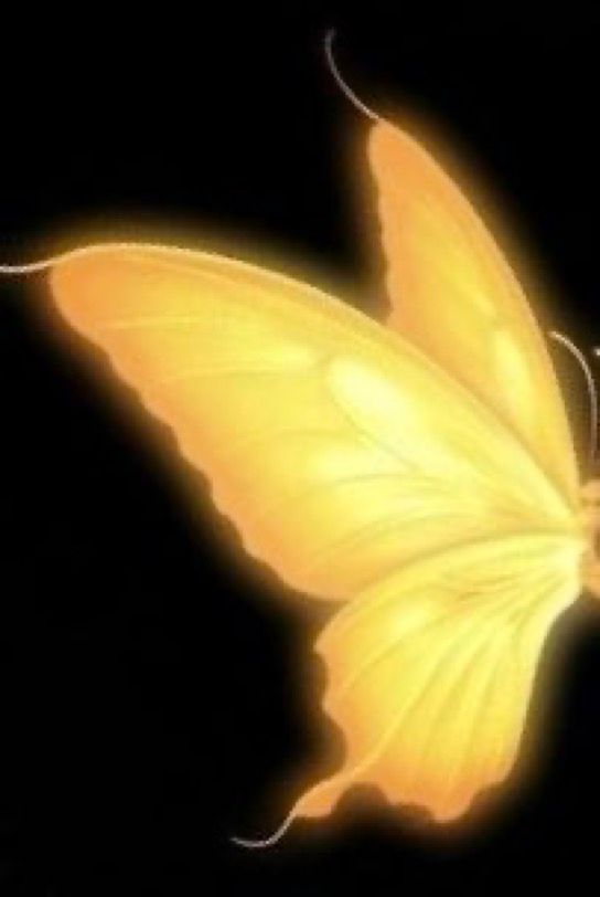 A glowing yellow butterfly with delicate wings is set against a solid black background, creating a vivid contrast and highlighting the butterfly’s luminous appearance.