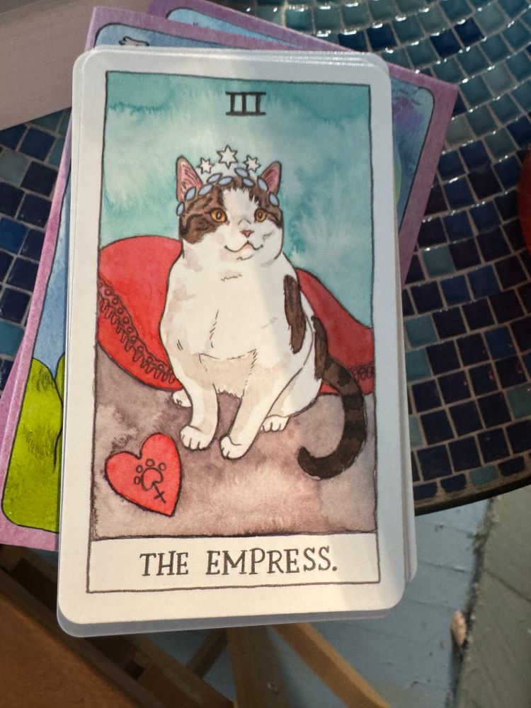 The Enpress