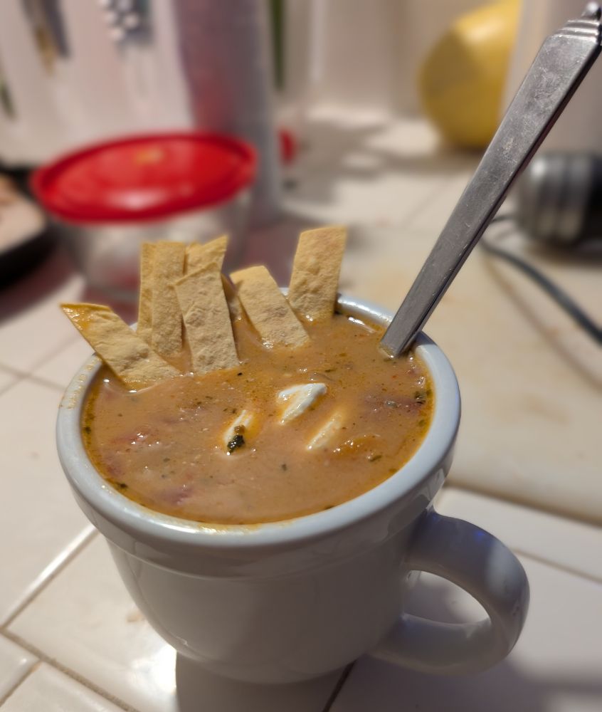 Mug of chicken tortilla soup with tortilla garnish! 
