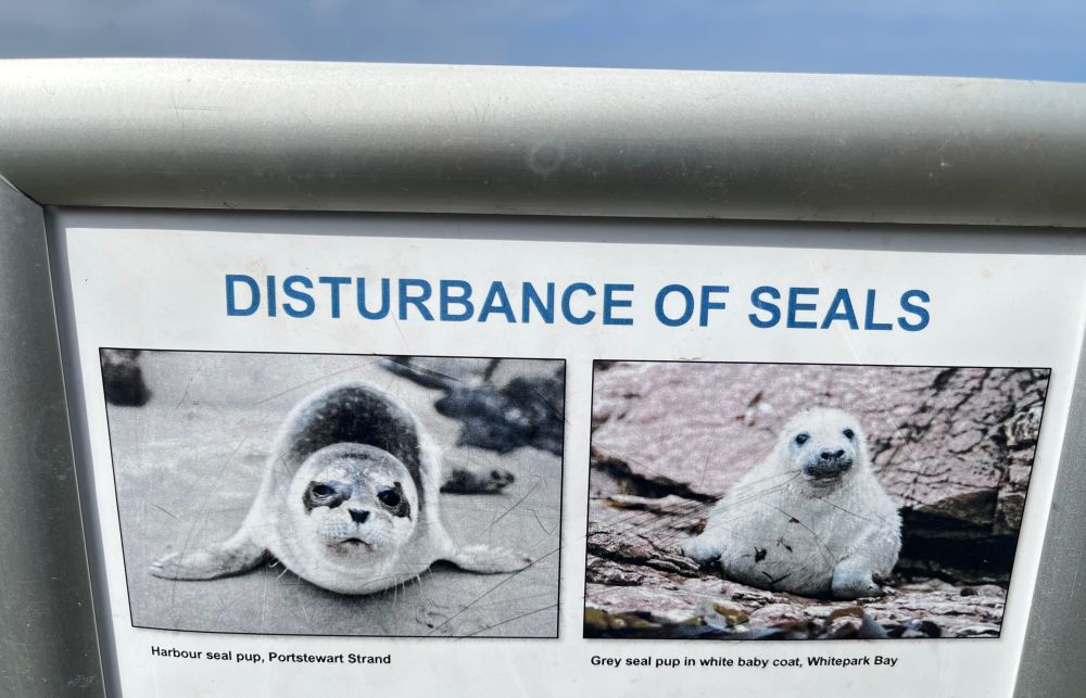sign: “Disturbance of seals” and two picture of seals