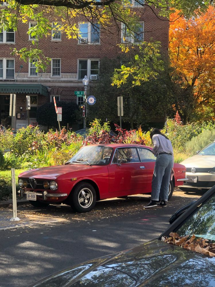 Picture of a person looking at an sixties alfa romeo coupe