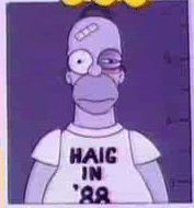 Homer Simpson’s mug shot. He has a black eye and is wearing a “Haig in ‘88” t-shirt.