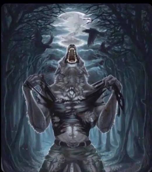 Ilustração colorida de lobisomem rasgando a própria camisa enquanto ruge olhando para cima. Ambiente noturno de uma floresta com árvores mortas, corvos e a lua cheia.

Imagem comumente usada como meme do tipo Lobo Pidão ou Não Entendi. 