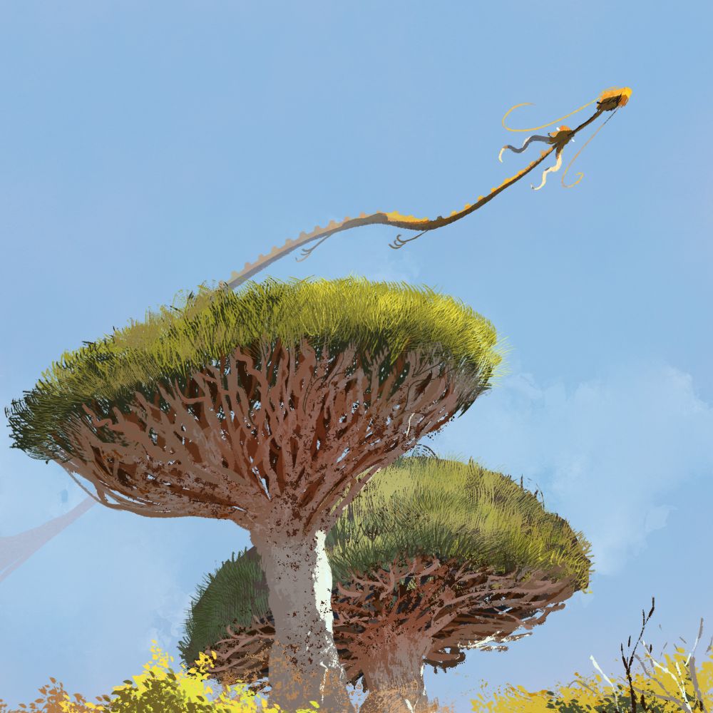 Drawing of a yellow dragon flying above two Socota dragon trees.