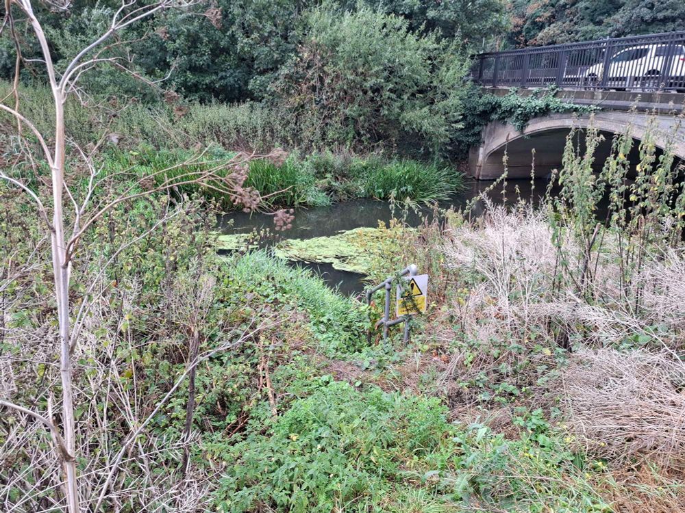 Heavily vegetated river bank with a partially covered 'danger' sign on a railing. The river channel is gently flowing. In the background are reeds, bushes and trees. To the right is a bridge with a white car crossing.