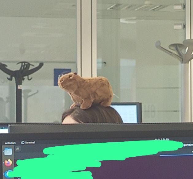 Peluche de una capybara en la cabeza de Nara