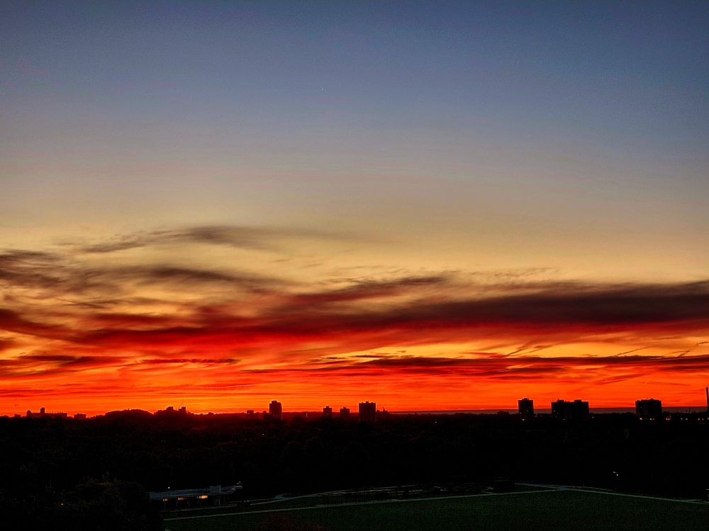 A beautiful orange and gold sunrise over the park and the Toronto skyline. 