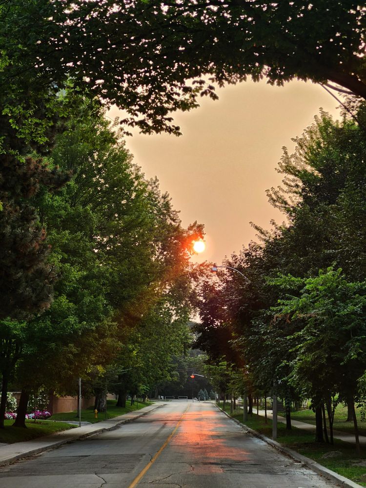 Captured in Toronto at the beginning of August, as thick smoke from northern wildfires polluted the atmosphere. The air pollution on this day registered amongst the worst in the world. It was difficult to breathe, and health officials recommended that outdoor activity be limited for safety reasons. The sun was an eerie orange ball, far past sunrise, and the air thick and hazy. We live in precarious times, as global warming is an undeniable reality. 