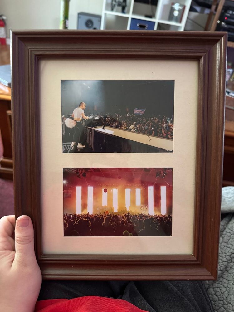 a photo frame with two 4x6 photos: the top is Morganite on stage at anthrocon, taken from the stage behind her. the bottom is a shot from the back of the room, the screens light up behind the stage like orange pillars above the crowd. a waiving trans flag is present in both shots