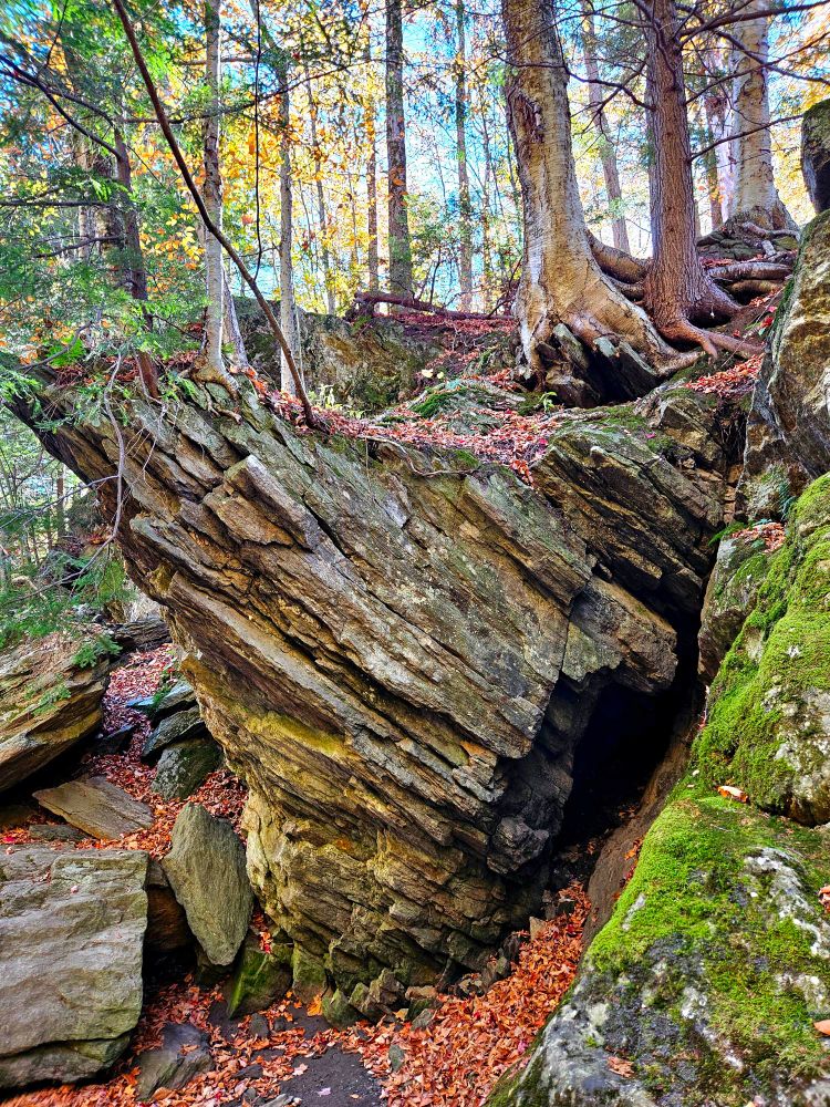 A jagged and textural rock face that has the appearance of bark. Nearby rocks are covered with moss and the ground is blanketed with fallen leaves. 
