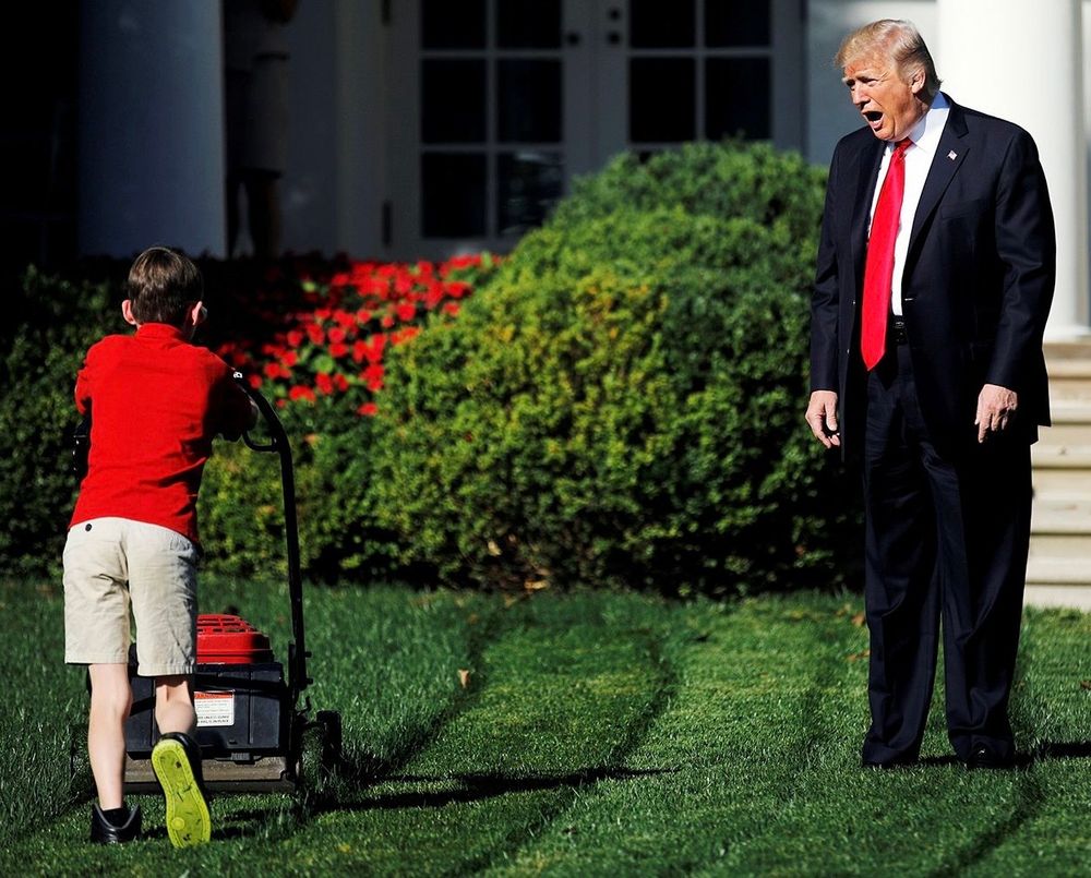 Picture is of Donald Trump standing on the White House lawn yelling at a small child that is mowing the lawn.