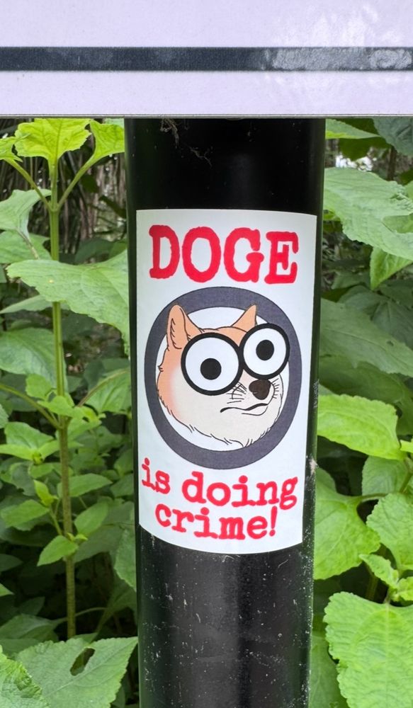 Sticker on a pole has a googly eyed cartoon dog and reads:

DOGE is doing crime!