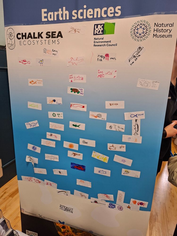 A large poster with a reconstruction of a water column on which people have drawn reconstructions of fossil animals on stickers.