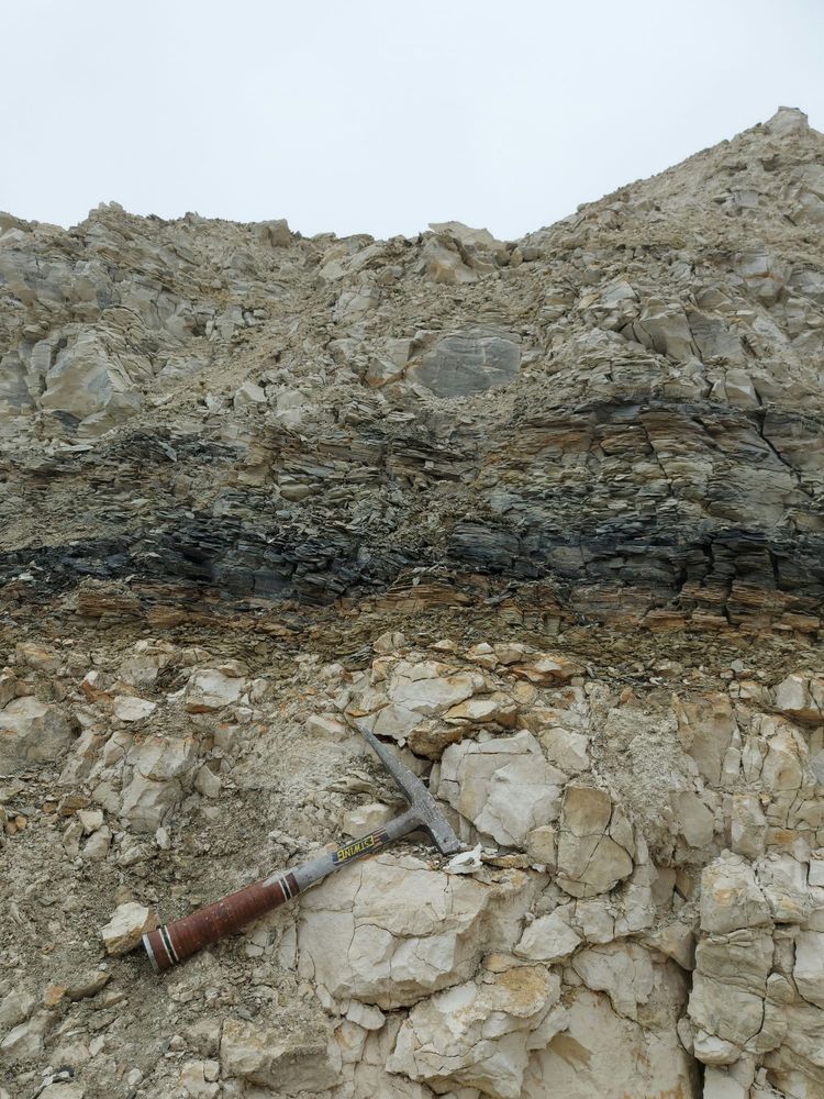 An exposure of rock (chalk) mostly white and grey. A distinctive black and grey layer runs horizontally through the center of the photo. There is a geological hammer for scale at the base.
