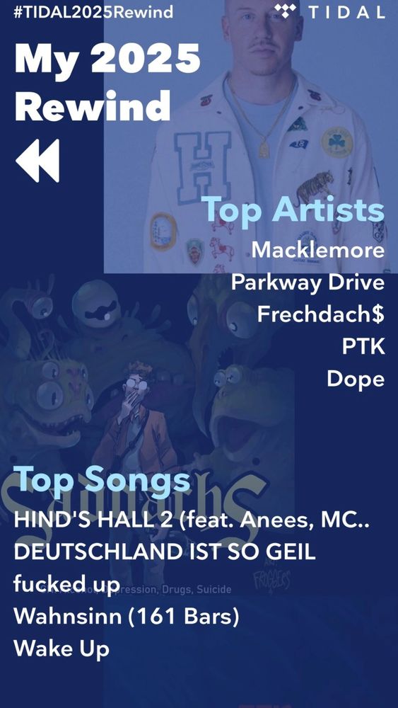 tidal wrapped : top artist: Macklemore, parkway drive , Frechdachs, ptk, dope.
top songs: hinds hall, Deutschland ist so geil , fucked up, Wahnsinn, wake up