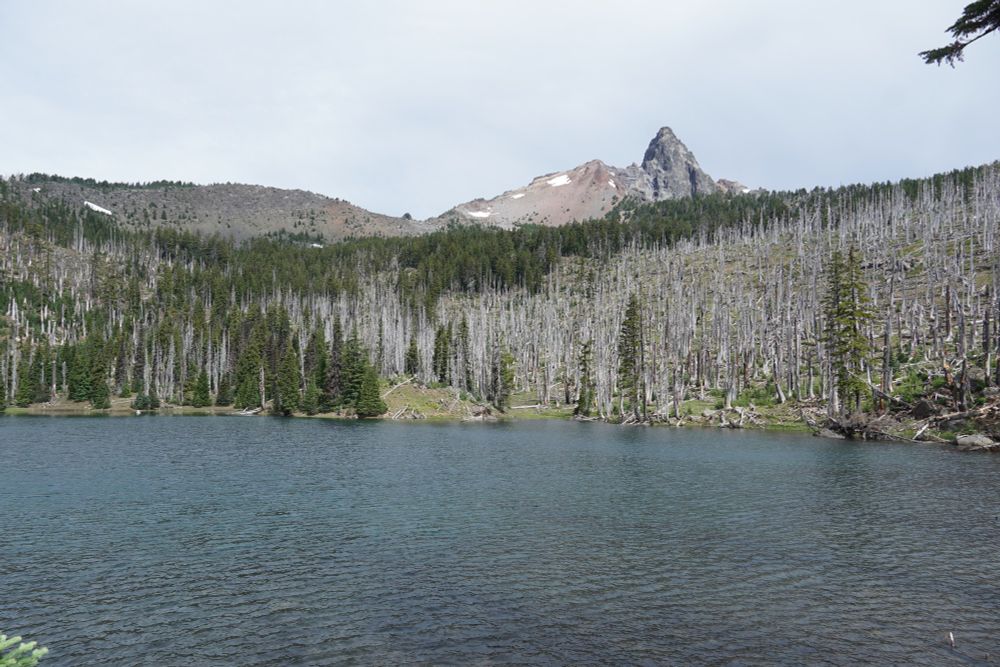 George Lake, Oregon with Mt. Washington in the background. 7/20/2025