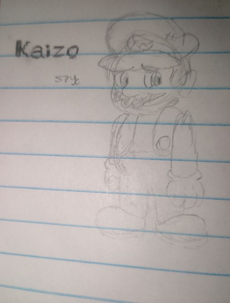 Kaizo, the Mario vessel