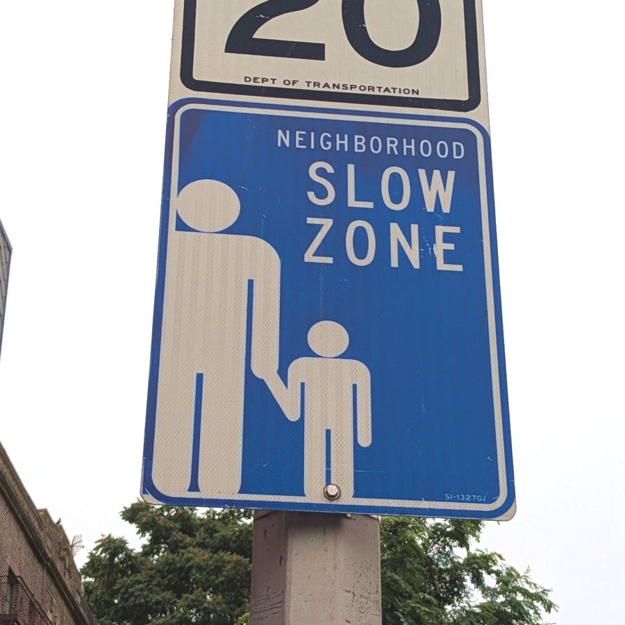 Photograph of a street sign. Rectangular, blue with a white border, generic icons of an adult and a child holding hands, and the words "NEIGHBORHOOD SLOW ZONE." 