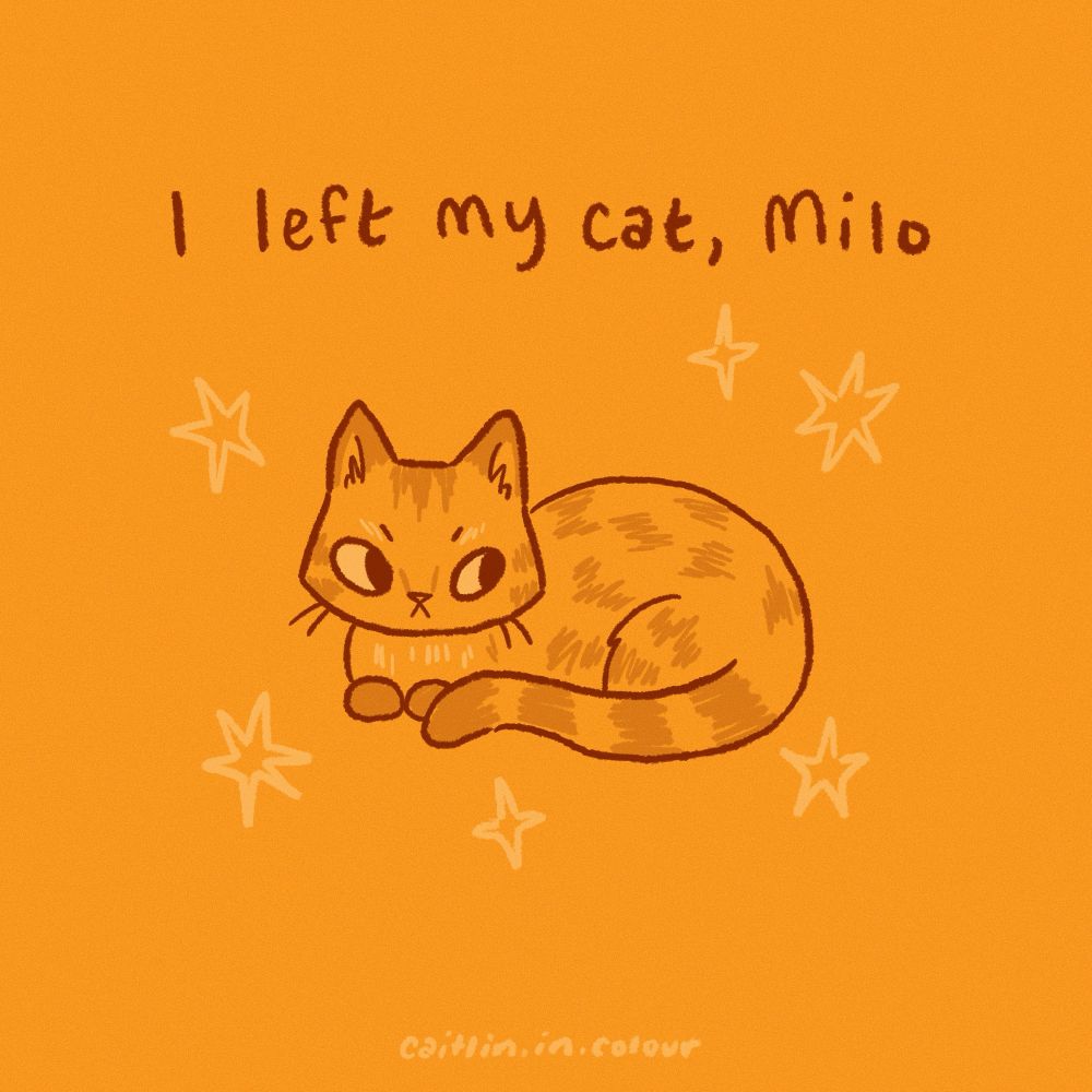 Digital comic with a cat sitting and the text, "I left my cat Milo"
