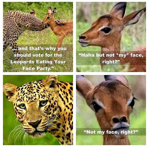 Leopards Eating Your Face Party 