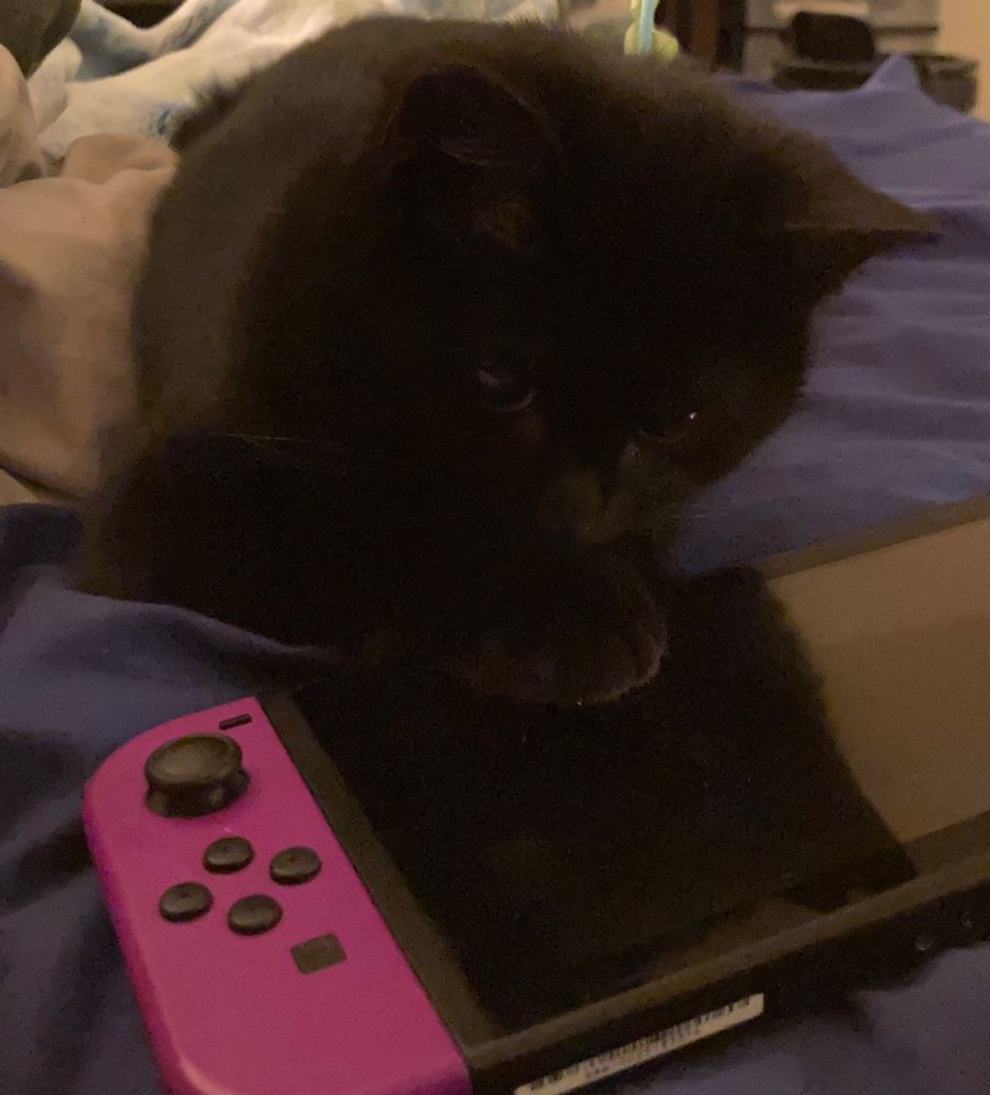 black kitten touching nintendo switch with her paw