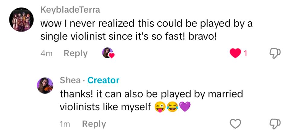 KeybladeTerra

wow I never realized this could be played by a single violinist since it's so fast! bravo!

Shea Creator

thanks! it can also be played by married violinists like myself (silly face and heart)