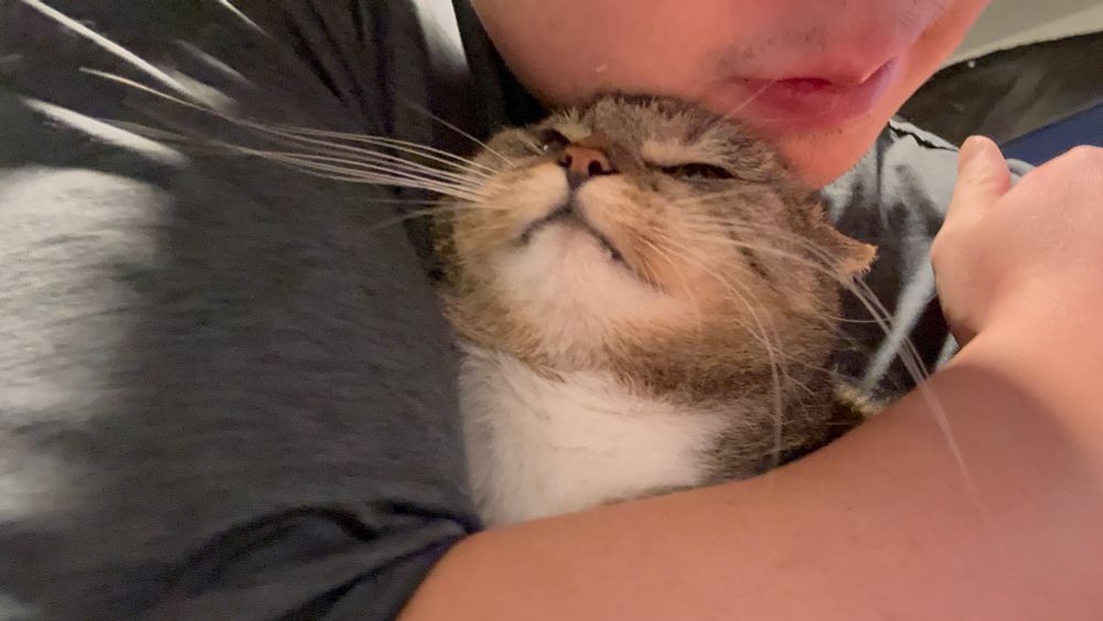 Lily being cuddled like a little baby