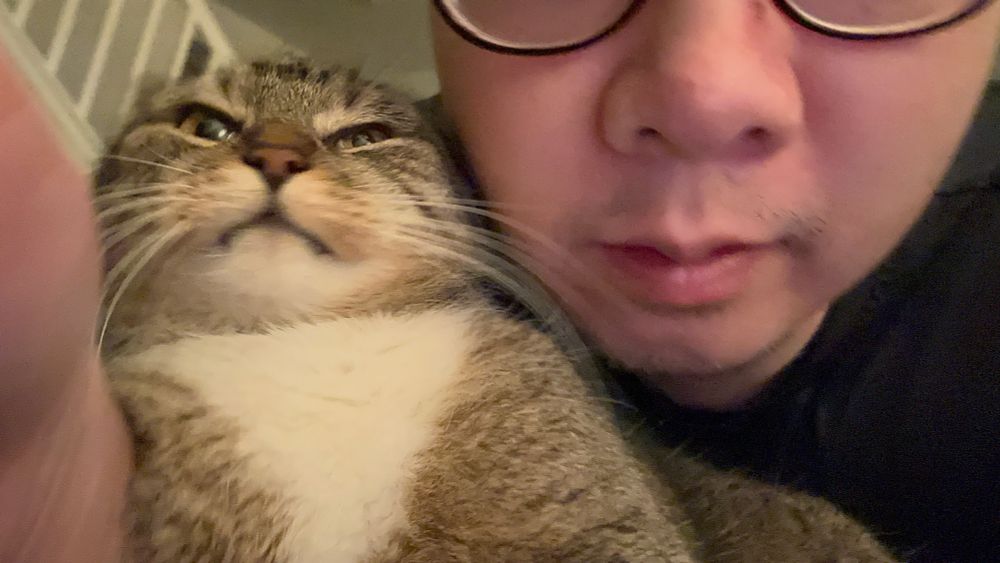 Lily is looking annoyed alongside me