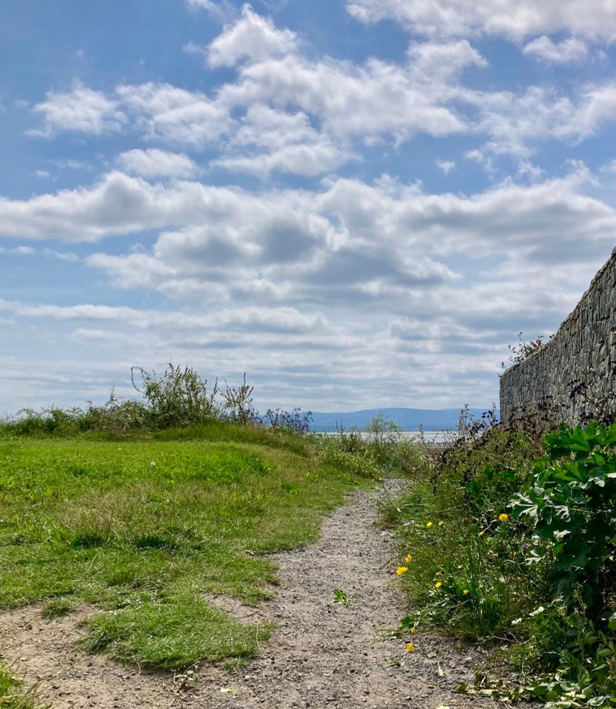We’re walking along the seafront in Dublin and it’s as quiet as December..

Pic of a forked rough path between scraggy grass and dandelions that slopes down to a beach of dark sand. Beyond is pale blue water and the blue grey of the mountains . The sky is blue and covered in white and pale grey fluffy clouds 