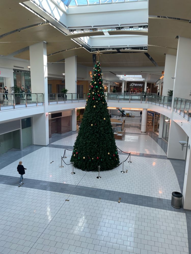 Nearly bare Christmas tree in an empty mall.