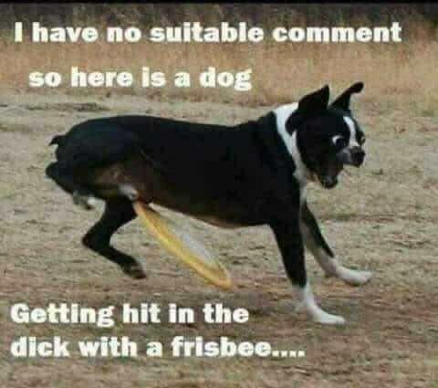 Comment image