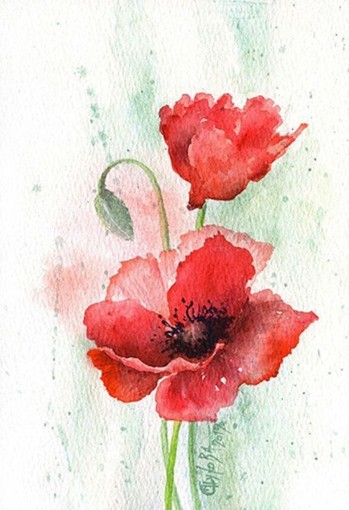 Watercolour Poppies, I can't read the signature but credit to whoever that is(sorry)