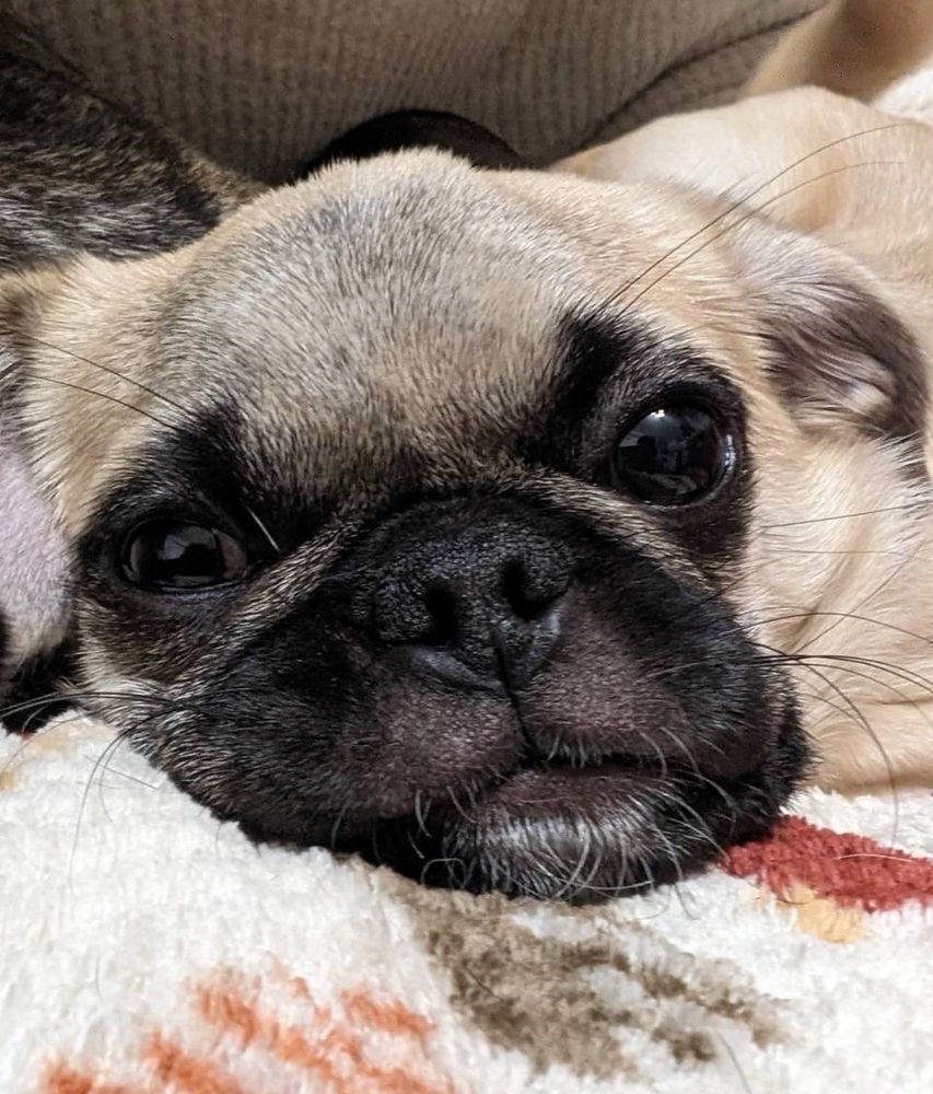 まだ魂がある時