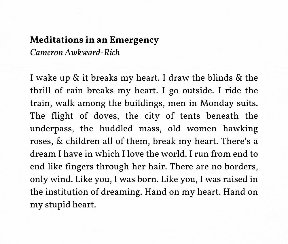 Meditations in an Emergency
Cameron Awkward-Rich

I wake up & it breaks my heart. I draw the blinds & the thrill of rain breaks my heart. I go outside. I ride the train, walk among the buildings, men in Monday suits.
The flight of doves, the city of tents beneath the underpass, the huddled mass, old women hawking roses, & children all of them, break my heart. There's a dream I have in which I love the world. I run from end to end like fingers through her hair. There are no borders, only wind. Like you, I was born. Like you, I was raised in the institution of dreaming. Hand on my heart. Hand on my stupid heart.