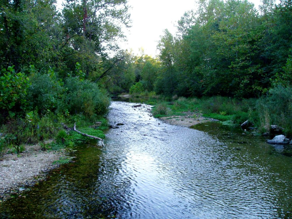 a creek