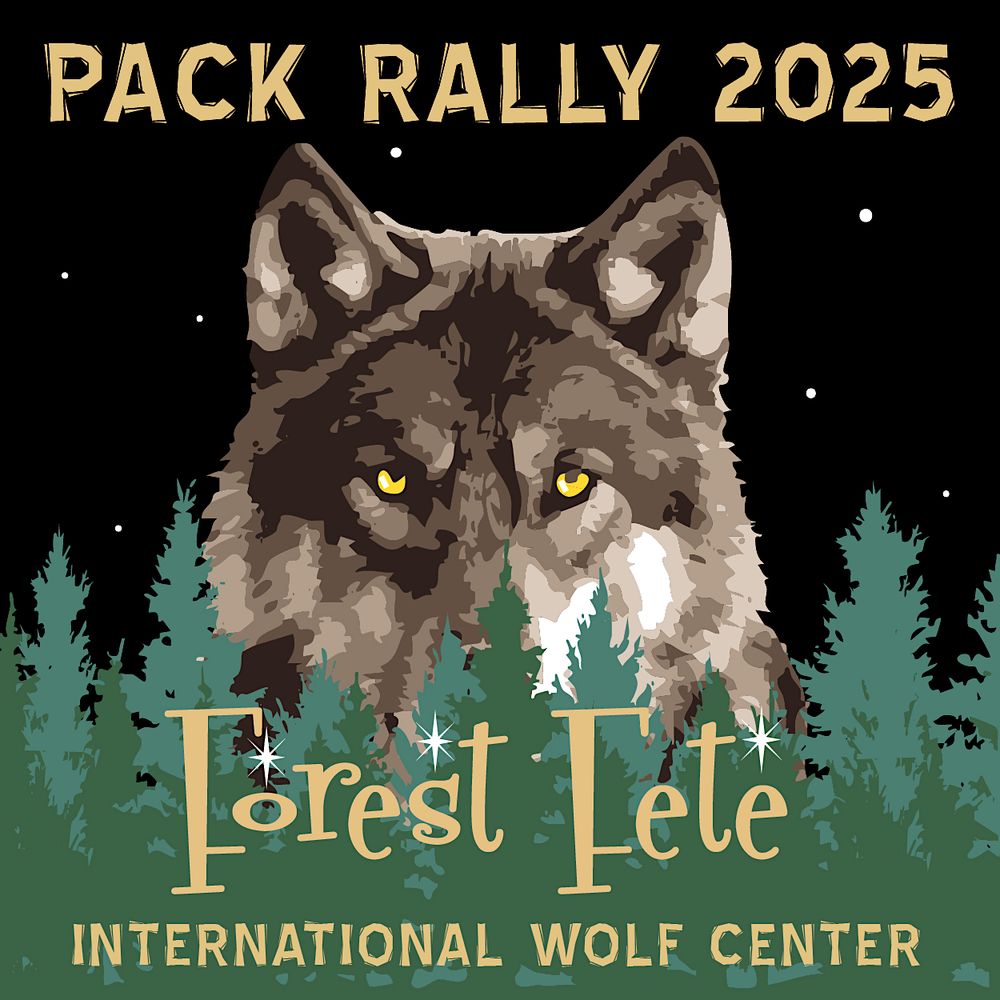 Pack Rally 2025–A Forest Fete