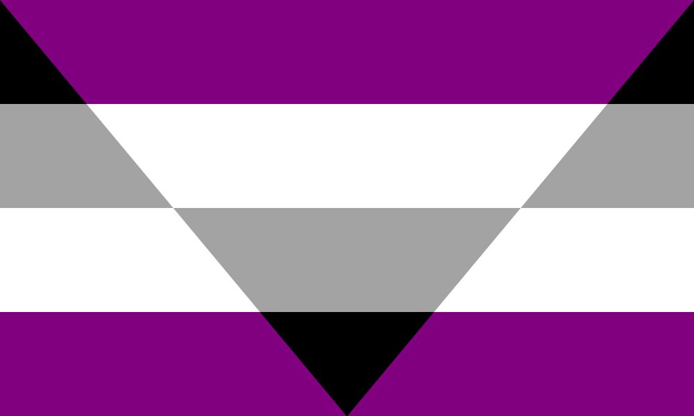 Aegosexual pride flag. Looks like the asexual flag with an upside down triangle in the center that reverses the color order of the stripes.