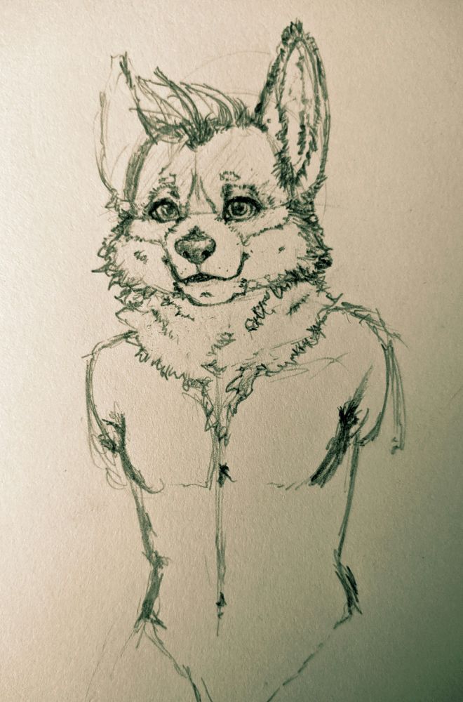 An overly detailed character reference sketch partially completed 