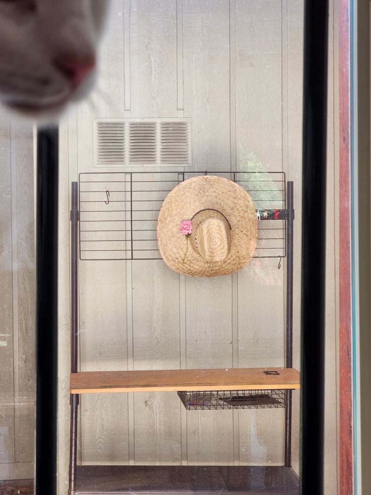 as before, but in the top left corner the blurry whiskers, pink nose, and white face of a cat adorns the frame. 