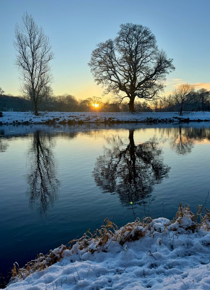 Two trees with no leaves reflected in a calm river. Behind the trees is the sunrise with the orange reflected in the river too. Both banks of the river are covered in snow. 