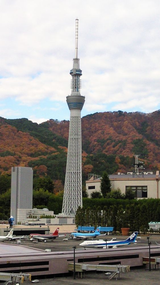 少し離れた場所からじゃないとツリー全体が写らなかった