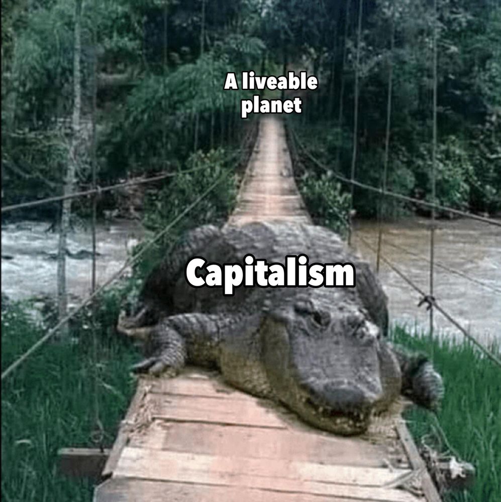 Meme with a picture of a wood and rope bridge going across a rushing river in a jungle area, with a huge crocodile on the bridge blocking the way across. The huge crocodile is labeled "Capitalism" and the other side of the bridge is labeled "A liveable planet"