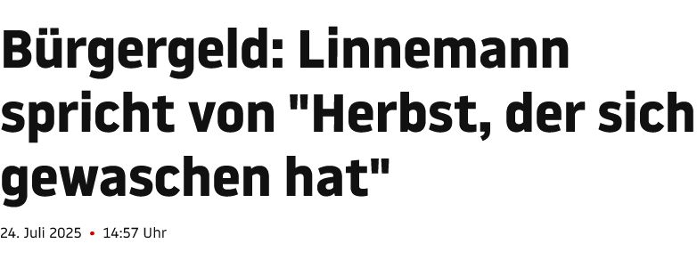 Schlagzeile: 
Bürgergeld: Linnemann spricht von "Herbst, der sich gewaschen hat" 
