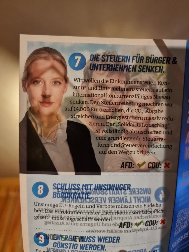 Das Bild zeigt eine Seite des aktuellen Bundeswahlkampfflyers von Alice Weidel, der gegen das Licht gehalten, Alice Weidel mit quadratischem Schatten unter der Nase zeigt, da sich auf der Rückseite ein Bild von einem Haus mit dunklem Fenster auf der passenden Höhe befindet. Neben dem Haus ist eine Mann-Frau-Baby-Familie als klassisches Familienmodell abgebildet. Durch das Zusammenspiel der beiden Fotos bei Durchlicht sieht es so aus, als würde Alice Weidel ein Hit ler-Bärtchen tragen.

