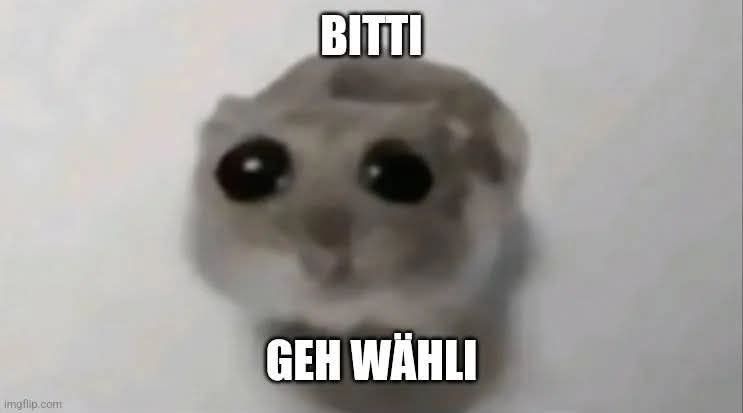 Unscharfes Foto von einem dschungarischen Zwerghamster mit großen Kugelaugen (Cuteness-Overload!!!!)
und Text:
BITTI
GEH WÄHLI
